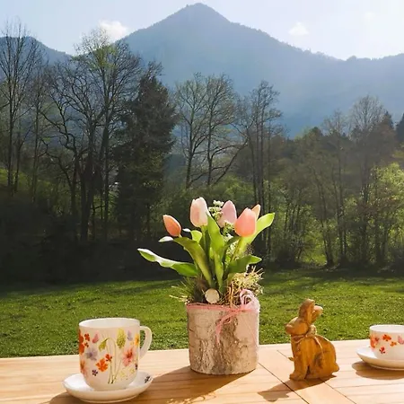 Alpenchalet-chiemgau *