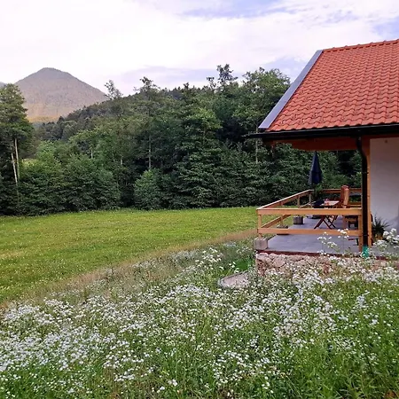 Alpenchalet-chiemgau *